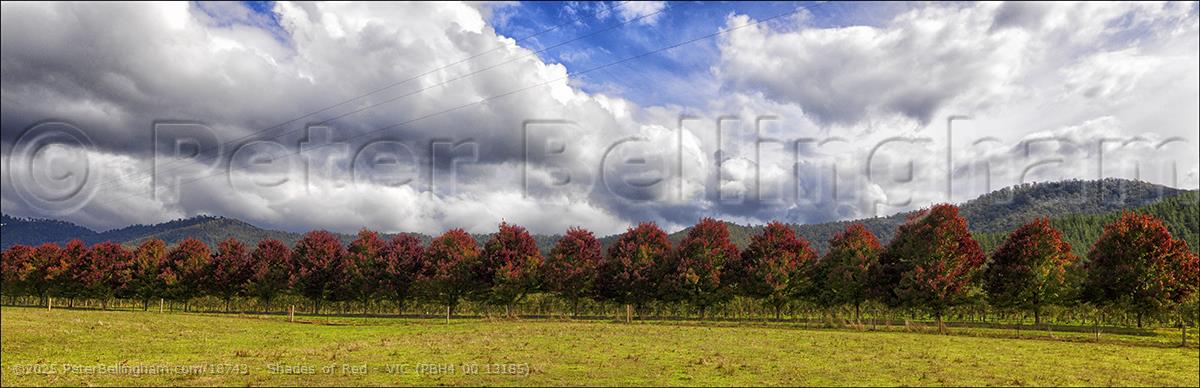 Peter Bellingham Photography Shades of Red - VIC (PBH4 00 13185)